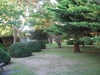 pville garden2.jpg